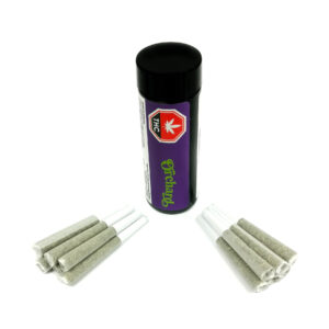 Orchard - Apple Flapjacks 14x0.5g Pre Roll (Case of 6)
