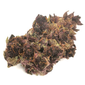 Orchard - Tropical Cherry - 7g Flower (Case of 6)