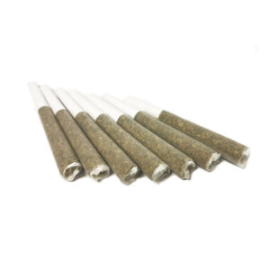 Orchard - Moby Dick 7x0.5g Pre Roll