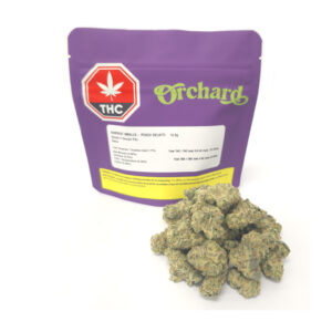 Orchard- Harvest Smalls, Peach Gelatti - 14g Flower (Case of 6)